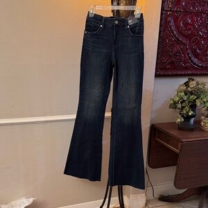 Express Midnight Blue Flare Jeans